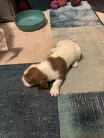 processed/ff2b3504-296e-4538-b781-313446bfa8dd/listing/4323f021-5a3c-4fc1-a9a3-50b1deee3aef/48271645-82cb-4ab5-91ca-daec3408cd64