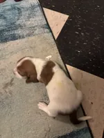 processed/ff2b3504-296e-4538-b781-313446bfa8dd/listing/4323f021-5a3c-4fc1-a9a3-50b1deee3aef/ff57a5bb-b3dd-4b5f-a8c7-438d13f577d0