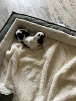 processed/ff2b3504-296e-4538-b781-313446bfa8dd/listing/867068c3-e2bc-4b20-8150-eaacc2d555af/1a31d575-3db4-4ae5-a7dd-48b819b0c8d0