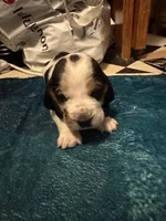 processed/ff2b3504-296e-4538-b781-313446bfa8dd/listing/867068c3-e2bc-4b20-8150-eaacc2d555af/53012121-e8d0-42e5-aafc-cd32f2c1c722