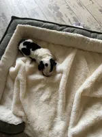 processed/ff2b3504-296e-4538-b781-313446bfa8dd/listing/867068c3-e2bc-4b20-8150-eaacc2d555af/6f89d8ee-b163-40ca-a0bf-90f6991a423a