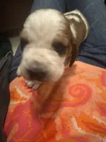 processed/ff2b3504-296e-4538-b781-313446bfa8dd/listing/96e1be63-99a9-4996-a503-1ece1ea5c8eb/44b1dcd7-7643-4410-8acd-7b51b280eb63