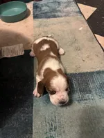 processed/ff2b3504-296e-4538-b781-313446bfa8dd/listing/96e1be63-99a9-4996-a503-1ece1ea5c8eb/a96fd269-c9eb-4250-8f27-aad92b75ebc4