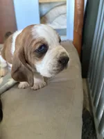 processed/ff2b3504-296e-4538-b781-313446bfa8dd/listing/96e1be63-99a9-4996-a503-1ece1ea5c8eb/f404a1ad-0ec4-41e9-a386-59a2067a36f5