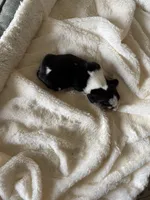 processed/ff2b3504-296e-4538-b781-313446bfa8dd/listing/e46b3cd9-321a-4f90-ad6f-d6cd6ac683a0/8cc891ab-2be3-4965-9427-4a36c97bfa14