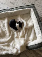 processed/ff2b3504-296e-4538-b781-313446bfa8dd/listing/e46b3cd9-321a-4f90-ad6f-d6cd6ac683a0/e4181ec7-f5d1-411d-9ec4-fd74407f8c9b