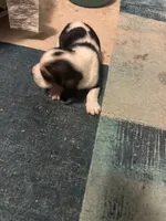 processed/ff2b3504-296e-4538-b781-313446bfa8dd/listing/eb310faf-b620-411a-a70e-b1d3f25a16f9/0783ddd5-816e-40a5-bbf3-ce57857eed07