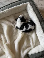 processed/ff2b3504-296e-4538-b781-313446bfa8dd/listing/eb310faf-b620-411a-a70e-b1d3f25a16f9/1a9bf9f5-bbda-4582-87e8-cd786bd214f9