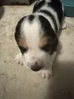 processed/ff2b3504-296e-4538-b781-313446bfa8dd/listing/eb310faf-b620-411a-a70e-b1d3f25a16f9/2ff9400c-bd49-4fcd-b725-9359afd2616c