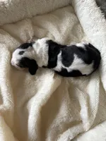 processed/ff2b3504-296e-4538-b781-313446bfa8dd/listing/eb310faf-b620-411a-a70e-b1d3f25a16f9/9bde0797-b8ac-4ed7-8e04-cd48689e9e8c