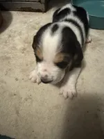 processed/ff2b3504-296e-4538-b781-313446bfa8dd/listing/eb310faf-b620-411a-a70e-b1d3f25a16f9/a2d635b6-7f00-4dc4-90df-82f95419b389