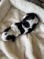 processed/ff2b3504-296e-4538-b781-313446bfa8dd/listing/eb310faf-b620-411a-a70e-b1d3f25a16f9/eaad52b2-44e6-47ea-92d9-b5c91051a5fb