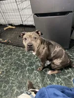 processed/ff3b9716-783b-4e1f-ae53-4fdd6daa8168/facility/0c37c64a-99c5-4200-b8e6-028b804b89aa