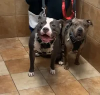 processed/ff3b9716-783b-4e1f-ae53-4fdd6daa8168/facility/0fc5946e-4dd4-43b3-b9c1-c3f6fca62747