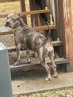 processed/ff3b9716-783b-4e1f-ae53-4fdd6daa8168/facility/29756c8e-5c55-48e9-9cfc-91459a690da2