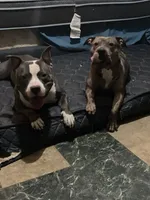 processed/ff3b9716-783b-4e1f-ae53-4fdd6daa8168/facility/69b8a1c6-58a1-4bab-8dd2-2c80285ff721