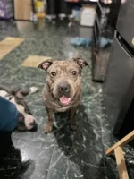 processed/ff3b9716-783b-4e1f-ae53-4fdd6daa8168/facility/9766e8e5-0e29-4f3c-a587-5fb300146468