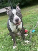 processed/ff3b9716-783b-4e1f-ae53-4fdd6daa8168/facility/d476a49e-d665-4e8e-b24a-c7c05a141a3d