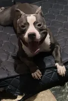 processed/ff3b9716-783b-4e1f-ae53-4fdd6daa8168/facility/ff4ba12d-2fb8-4d6d-997b-0415b8d5f93a