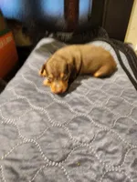 processed/ff3cff98-1143-4267-8226-10975172ba24/listing/08e2d8f4-6e65-45aa-a3c4-24b5f0910c91/2d84e031-2bcb-4fcd-a41a-6a772a96cc58