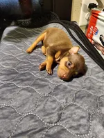 processed/ff3cff98-1143-4267-8226-10975172ba24/listing/08e2d8f4-6e65-45aa-a3c4-24b5f0910c91/989e5802-a226-4bbb-82b7-c7f4263c6119