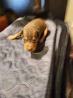 processed/ff3cff98-1143-4267-8226-10975172ba24/listing/08e2d8f4-6e65-45aa-a3c4-24b5f0910c91/d2d0de24-0208-4eb2-a387-d5c1f2c70cfc