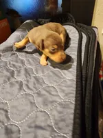 processed/ff3cff98-1143-4267-8226-10975172ba24/listing/08e2d8f4-6e65-45aa-a3c4-24b5f0910c91/e3045047-5402-4d77-85bd-4691a87d53ad