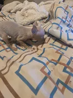 processed/ff3cff98-1143-4267-8226-10975172ba24/listing/40f7ca6b-7003-4b28-93e4-9b896c235c79/14b08f32-e953-4934-8ad0-fecbc61e0fa5