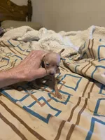 processed/ff3cff98-1143-4267-8226-10975172ba24/listing/40f7ca6b-7003-4b28-93e4-9b896c235c79/51906e9a-d159-469e-ae0e-9f497f49526f