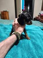 processed/ff3cff98-1143-4267-8226-10975172ba24/listing/59d45958-b66c-4a05-914f-26ffe2bbf662/14ecfb20-b5fd-4d13-b604-9801e441c9bb