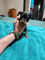 processed/ff3cff98-1143-4267-8226-10975172ba24/listing/59d45958-b66c-4a05-914f-26ffe2bbf662/3101fca6-7db0-416f-8677-4d04b110419a