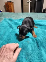 processed/ff3cff98-1143-4267-8226-10975172ba24/listing/59d45958-b66c-4a05-914f-26ffe2bbf662/5142e40a-dd2a-4dbc-8668-b31232ed0864