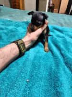 processed/ff3cff98-1143-4267-8226-10975172ba24/listing/59d45958-b66c-4a05-914f-26ffe2bbf662/93500342-7261-42b5-8212-26f00482a7d3