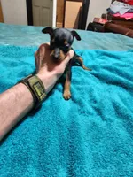 processed/ff3cff98-1143-4267-8226-10975172ba24/listing/59d45958-b66c-4a05-914f-26ffe2bbf662/b0b7053c-b7ca-4e99-9d78-75508f36cdbc