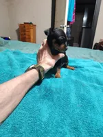 processed/ff3cff98-1143-4267-8226-10975172ba24/listing/59d45958-b66c-4a05-914f-26ffe2bbf662/db602d61-8eec-468d-9c3d-aa057d4bd1e6