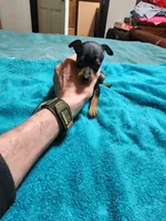 processed/ff3cff98-1143-4267-8226-10975172ba24/listing/59d45958-b66c-4a05-914f-26ffe2bbf662/f9d2ee23-9607-4aeb-bda9-b574686a84e6