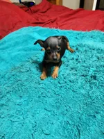 processed/ff3cff98-1143-4267-8226-10975172ba24/listing/a6c26bde-4cd0-4949-83c0-87e1b3f0d830/30f16ff9-8edb-4c81-83cd-62834b58abf0