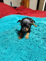 processed/ff3cff98-1143-4267-8226-10975172ba24/listing/a6c26bde-4cd0-4949-83c0-87e1b3f0d830/c457f139-e31a-4390-b9a8-47afa977bc49