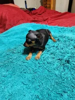 processed/ff3cff98-1143-4267-8226-10975172ba24/listing/a6c26bde-4cd0-4949-83c0-87e1b3f0d830/e53b7fe1-8360-47cc-ba22-76c064d03128