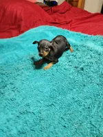 processed/ff3cff98-1143-4267-8226-10975172ba24/listing/b6b1941a-ef6a-4ceb-86b1-7d39f4feb358/5d3fe270-2e13-4d1d-9290-ef7dcbaef440