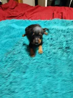 processed/ff3cff98-1143-4267-8226-10975172ba24/listing/b6b1941a-ef6a-4ceb-86b1-7d39f4feb358/9ef87ebe-4a01-4c81-9da9-b8de2005e3eb