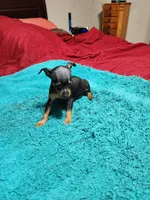 processed/ff3cff98-1143-4267-8226-10975172ba24/listing/b6b1941a-ef6a-4ceb-86b1-7d39f4feb358/cf1d7188-2670-4f9a-b871-5895ae518b4d