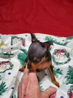 processed/ff3cff98-1143-4267-8226-10975172ba24/listing/b832873b-5399-4b49-8d44-8b5152a80261/3beae2ed-7047-4a55-bfce-6d2a639715ea