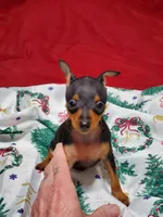 processed/ff3cff98-1143-4267-8226-10975172ba24/listing/b832873b-5399-4b49-8d44-8b5152a80261/5015ffb8-9be3-48dd-abfa-e6d7a93dd0c0