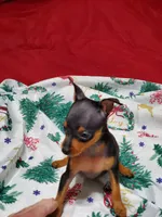 processed/ff3cff98-1143-4267-8226-10975172ba24/listing/b832873b-5399-4b49-8d44-8b5152a80261/67ac5744-825a-4a2c-9707-f551d608fcac