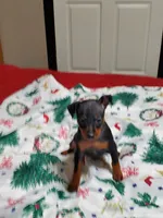 processed/ff3cff98-1143-4267-8226-10975172ba24/listing/b832873b-5399-4b49-8d44-8b5152a80261/e6213165-37a0-49ce-be79-45149d5f27dd