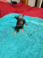 processed/ff3cff98-1143-4267-8226-10975172ba24/listing/d0feb820-48dc-46c2-97a7-0bc68c438b1a/6a4b041b-1b20-406c-884a-03beb90ae58f