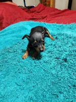 processed/ff3cff98-1143-4267-8226-10975172ba24/listing/d0feb820-48dc-46c2-97a7-0bc68c438b1a/8ea85ac1-a886-44f1-94e6-6f33b70d38f8