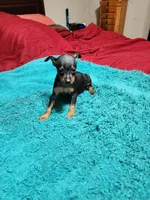 processed/ff3cff98-1143-4267-8226-10975172ba24/listing/d0feb820-48dc-46c2-97a7-0bc68c438b1a/acfb04bd-9c6d-40ce-b367-50b69ea3f2c3