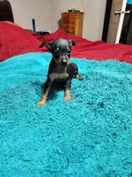 processed/ff3cff98-1143-4267-8226-10975172ba24/listing/d0feb820-48dc-46c2-97a7-0bc68c438b1a/c893d9b9-1135-4215-918d-53d937dd7ce4